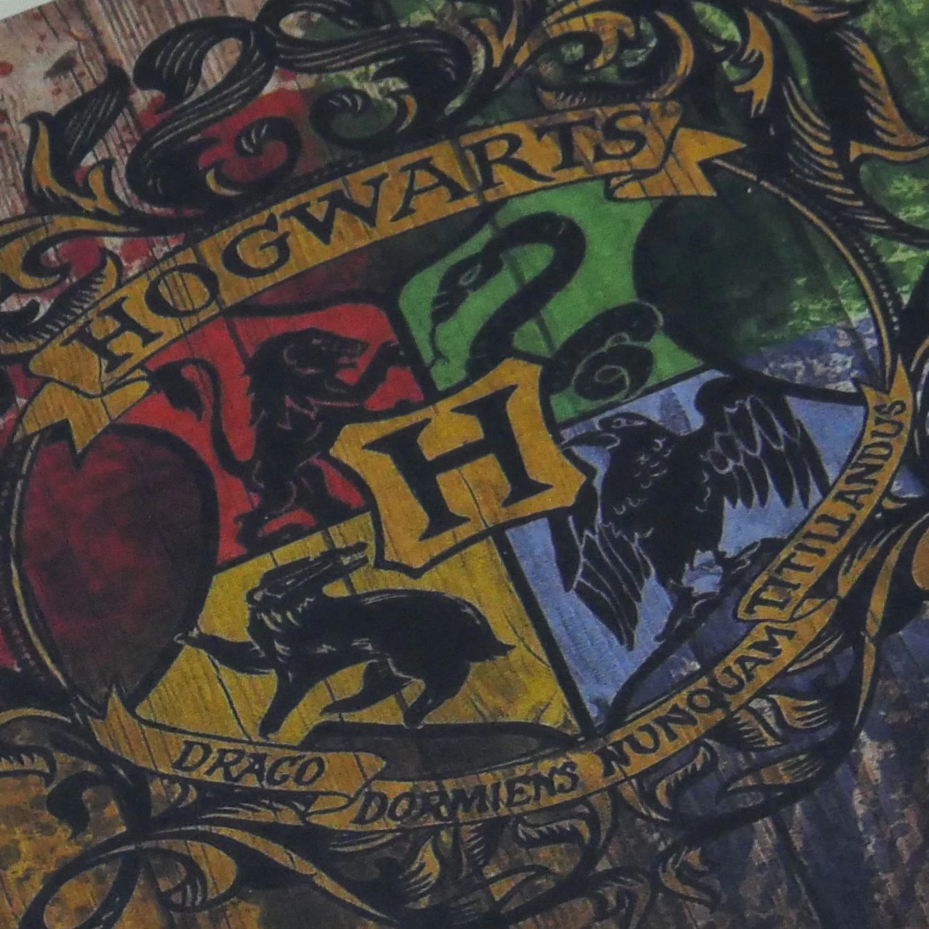 Hogwarts Harry Potter Temalı Kauçuk Kapı Önü Paspası